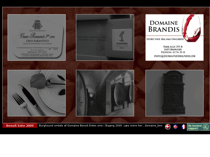 www.domainebrandis.dk