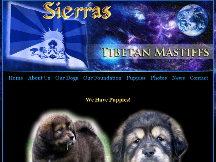 www.sierrastibetanmastiffs.com