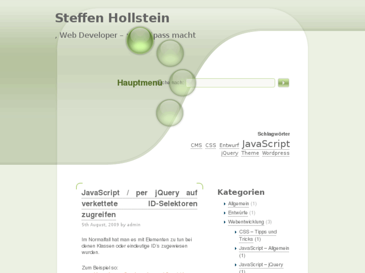 www.steffenhollstein.com