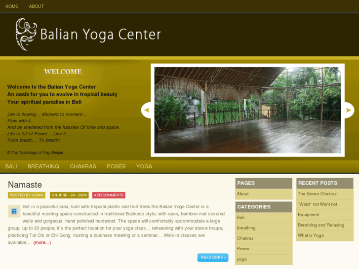 www.balianyogacenter.com