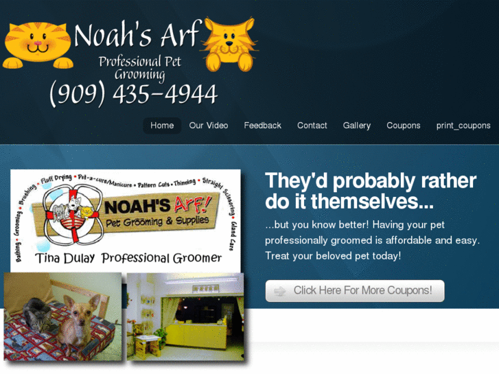 www.noahsarf.net