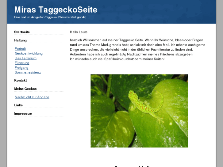 www.taggeckoseite.de