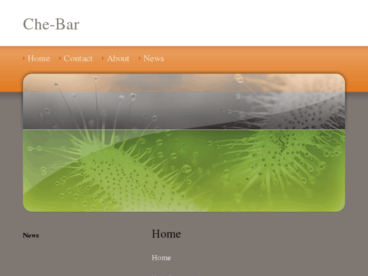 www.che-bar.info