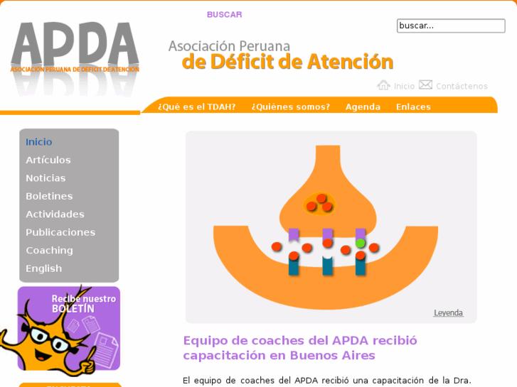 www.deficitdeatencionperu.org