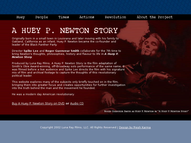 www.ahueypnewtonstory.com