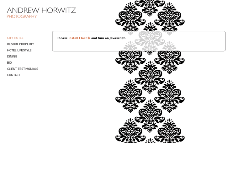 www.andrewhorwitz.com