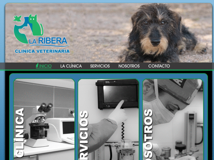 www.clinicaveterinarialaribera.es