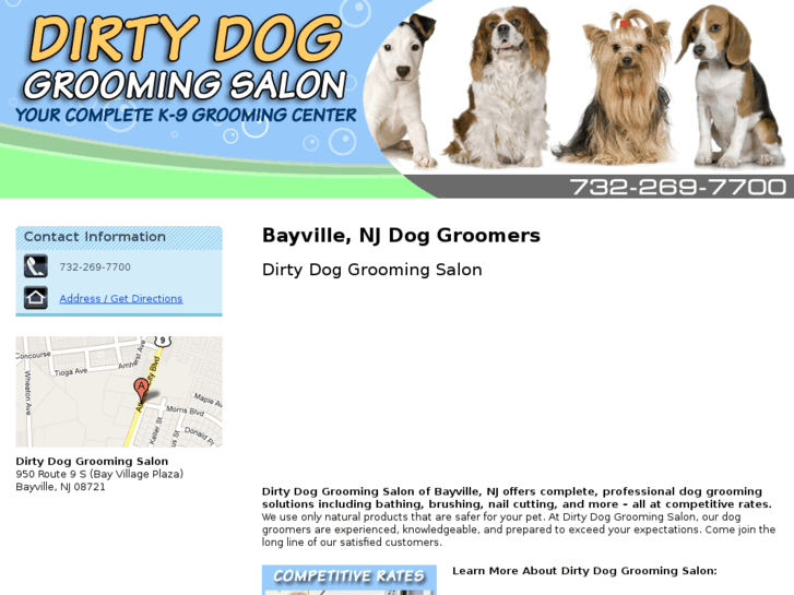 www.dirtydoggroomingsalon.com