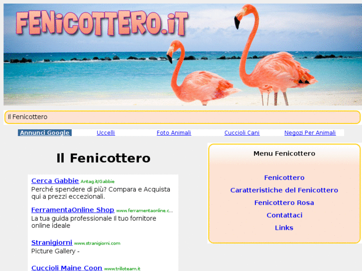 www.fenicottero.it