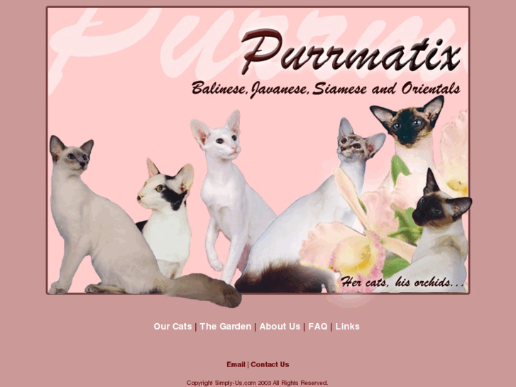 www.purrmatix.com