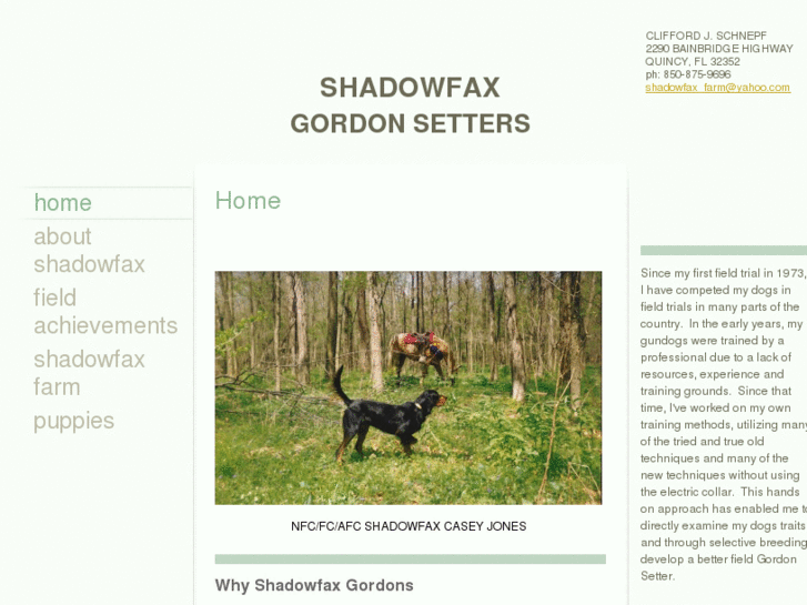 www.shadowfaxgordonsetters.com