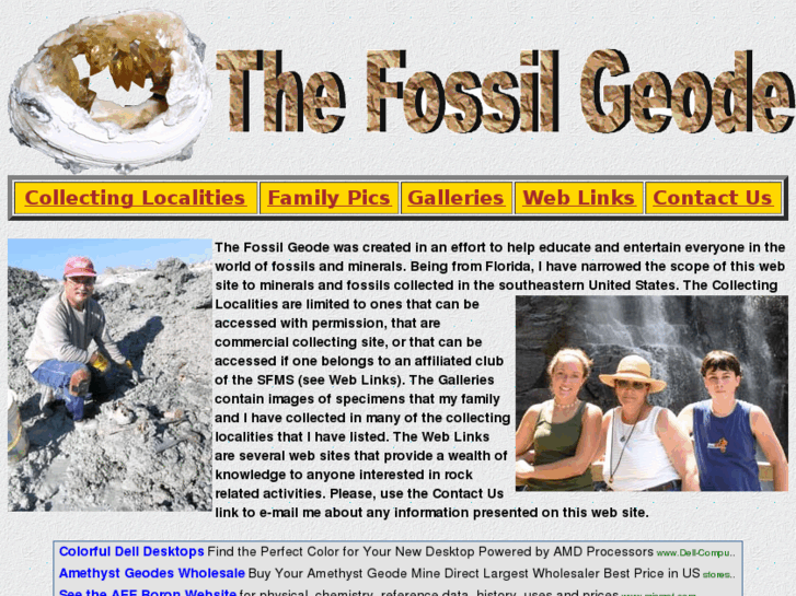 www.thefossilgeode.com