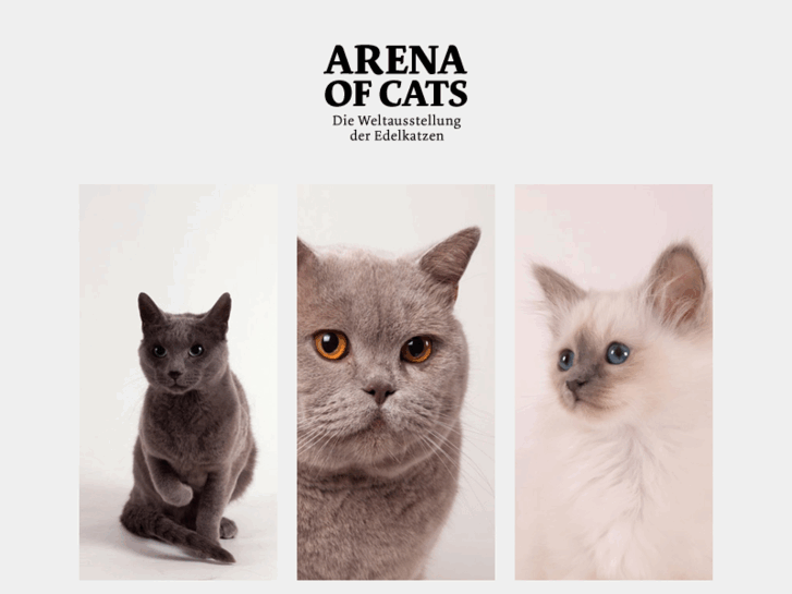 www.arena-of-cats.de