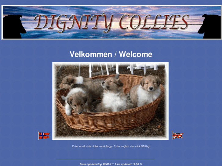 www.dignitycollies.com