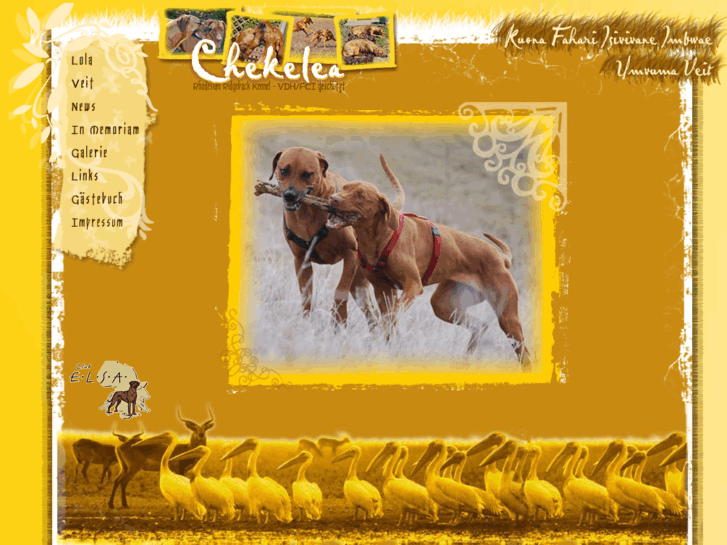 www.rhodesian-ridgeback-lola.biz