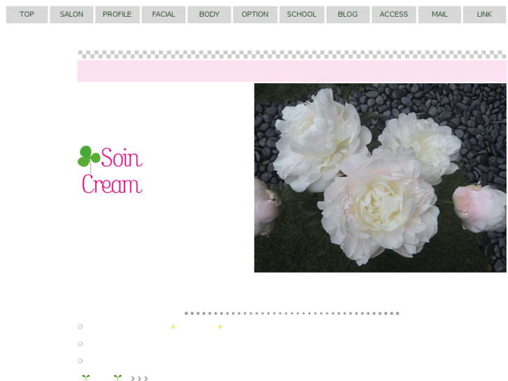 www.soin-cream.com