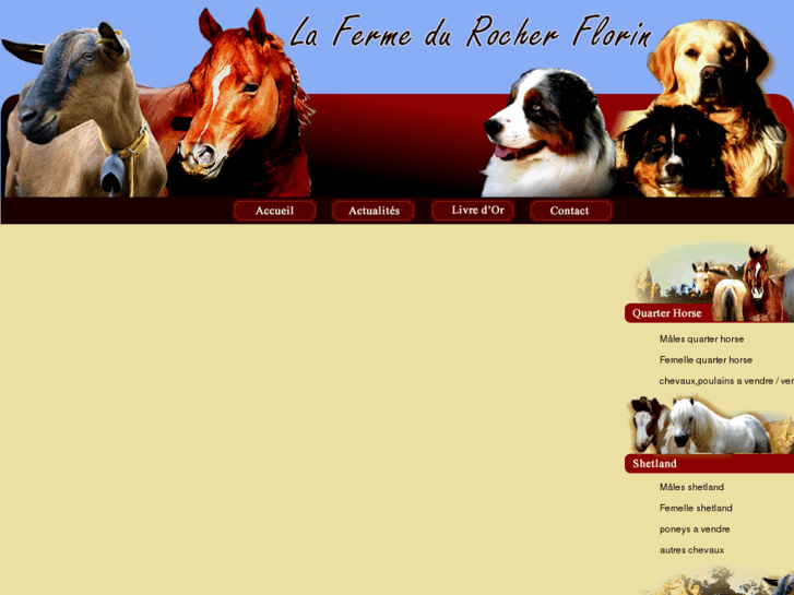 www.delrosso-quarter-horse.com