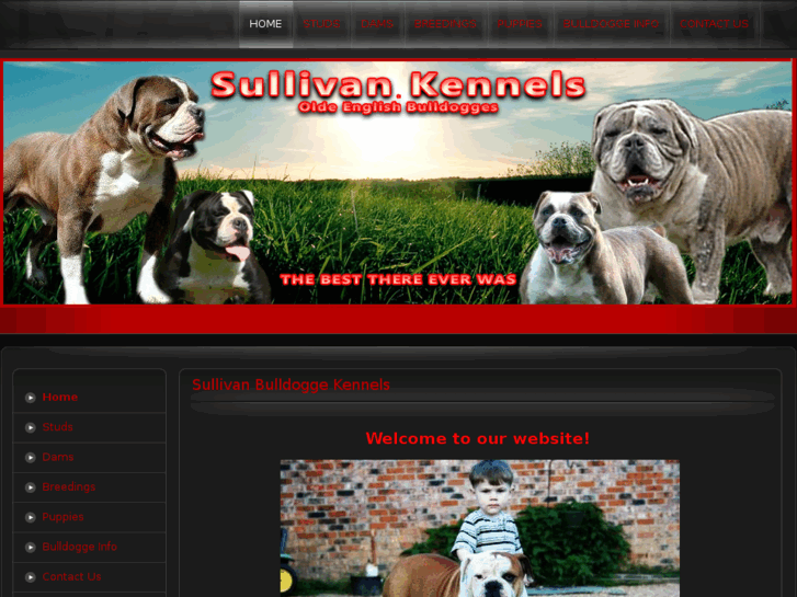 www.sullivankennels.com