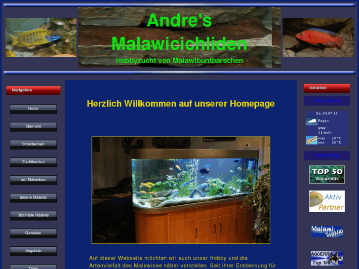 www.andres-malawicichliden.de