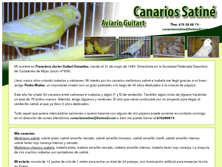 www.canariossatine.com