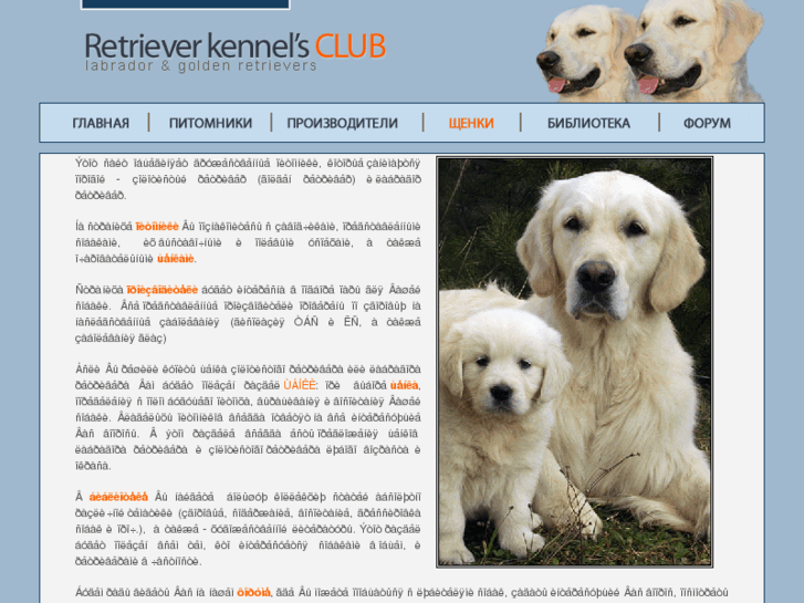 www.golden-retriver.ru