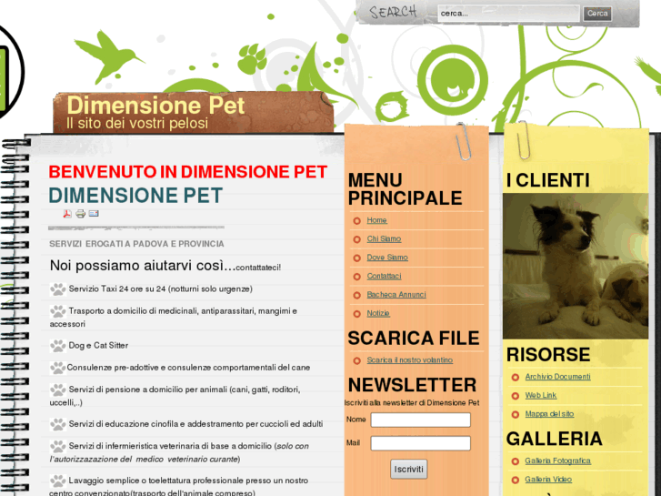 www.dimensionepet.com