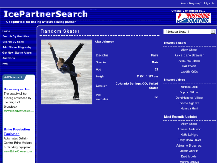 www.icepartnersearch.com