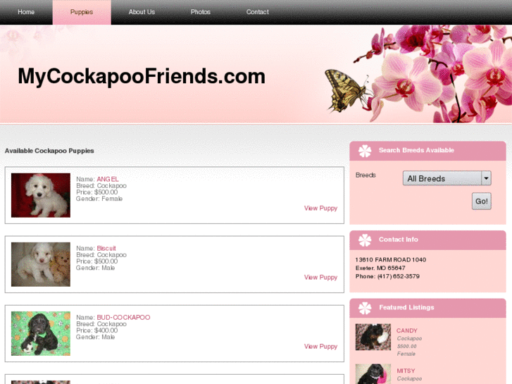 www.mycockapoofriends.com