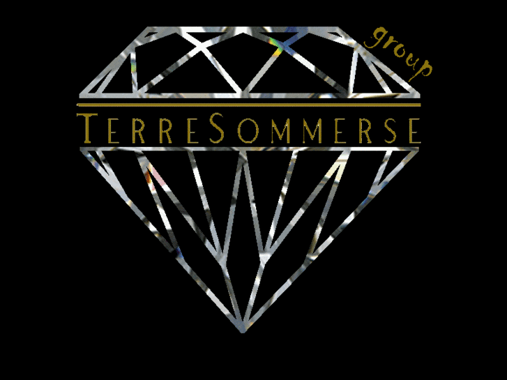 www.terresommersegroup.com