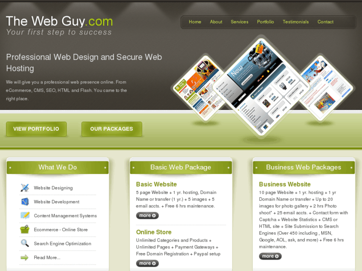 www.theweb-guy.com