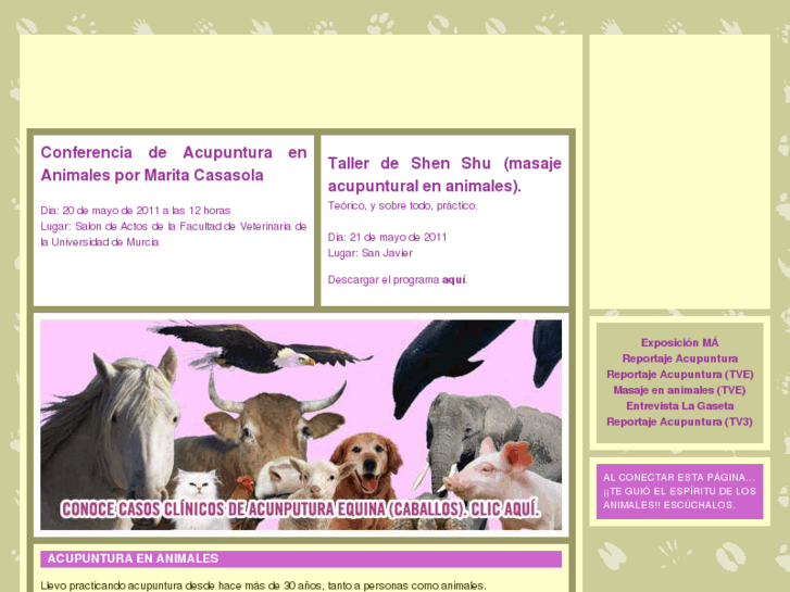 www.acupunturaenanimales.com