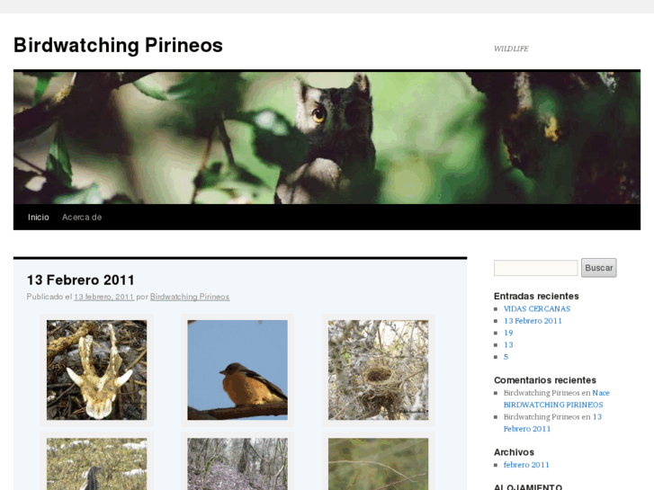 www.birdwatchingpirineos.es