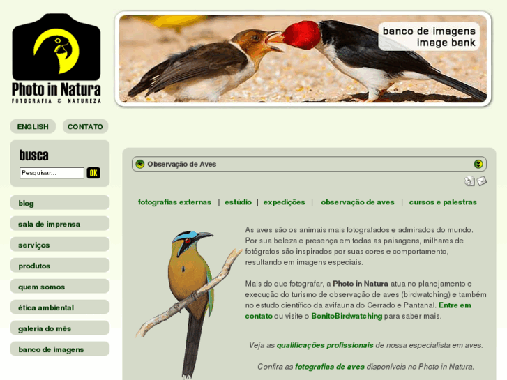 www.bonitobirdwatching.com