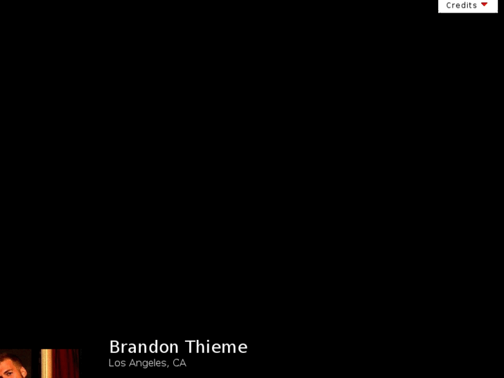 www.brandonthieme.com