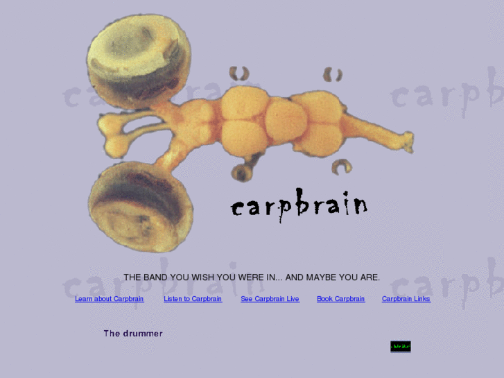 www.carpbrain.net