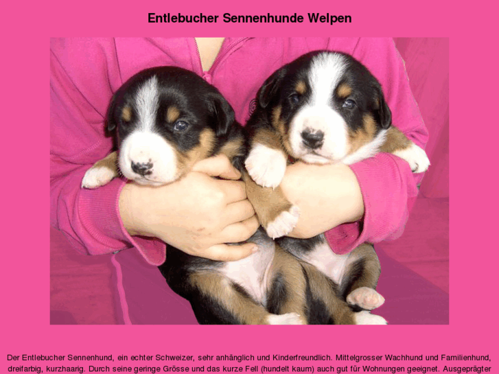 www.entlebucher.net