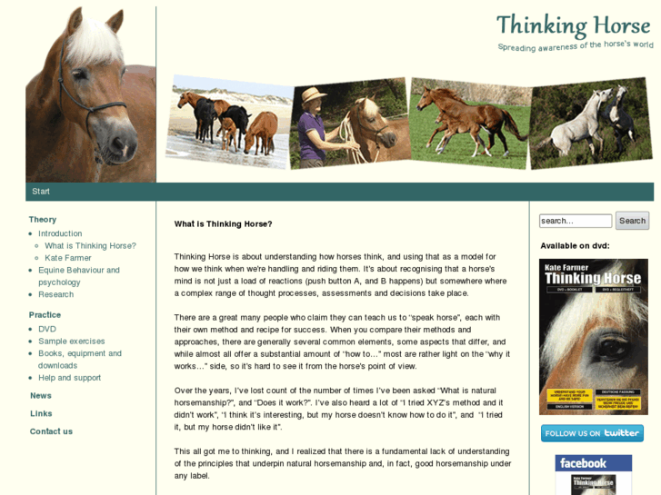 www.thinkinghorse.org