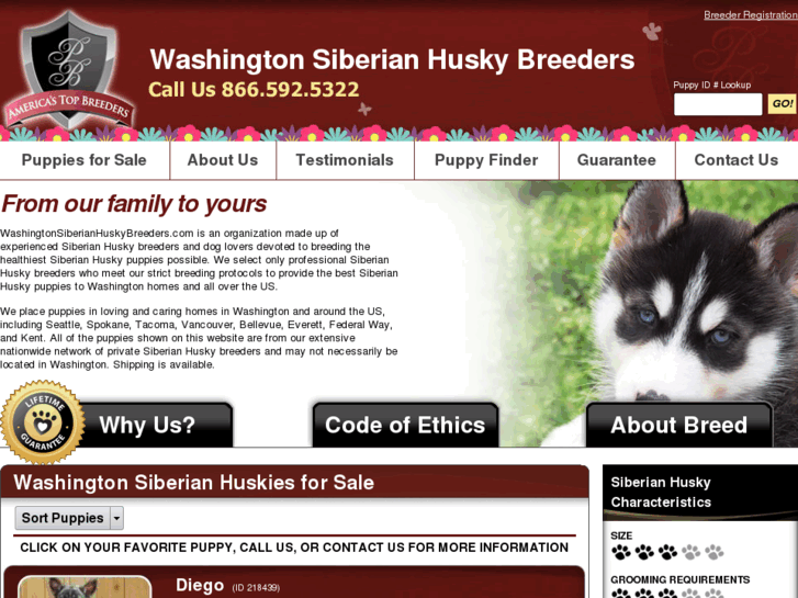 www.washingtonsiberianhuskybreeders.com