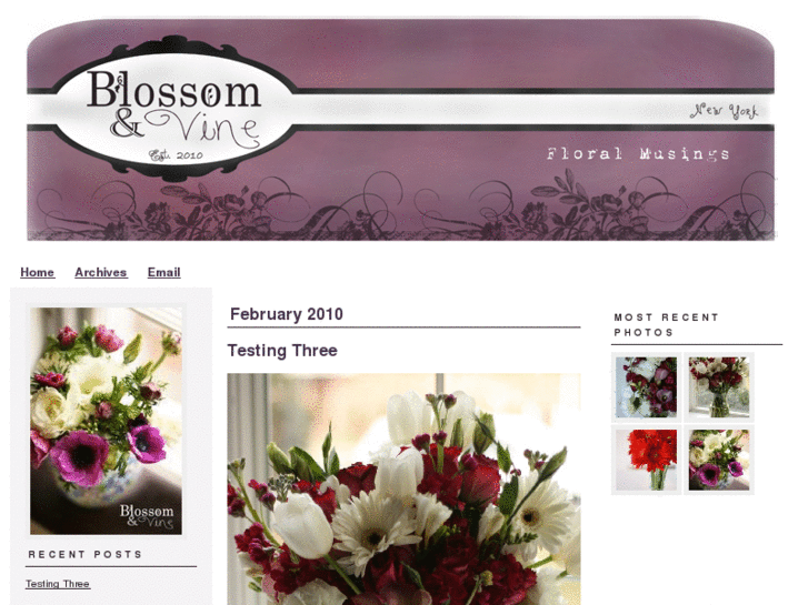 www.blossomandvine.com