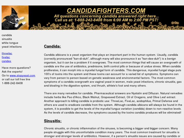 www.candidafighters.com