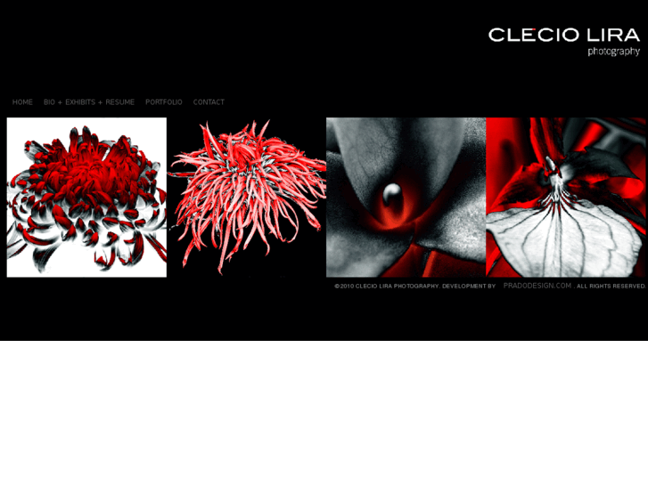 www.cleciolira.com