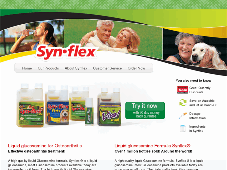 www.mysynflex.net