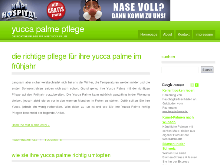 www.yucca-palme-pflege.de