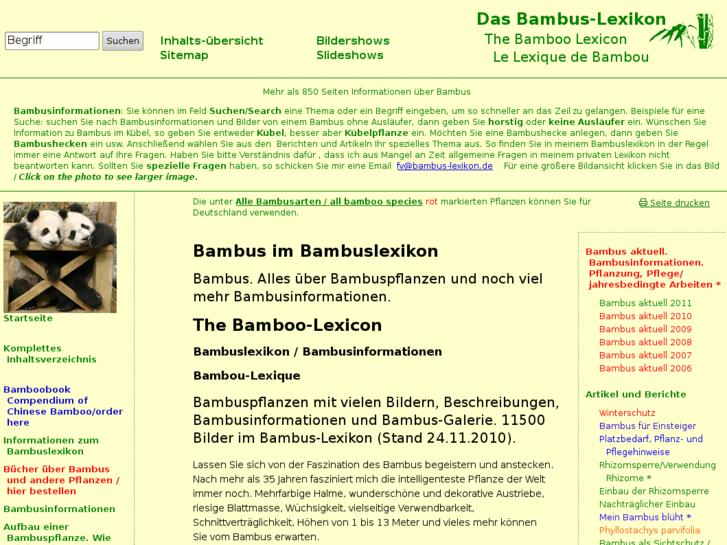 www.bambus-lexikon.de