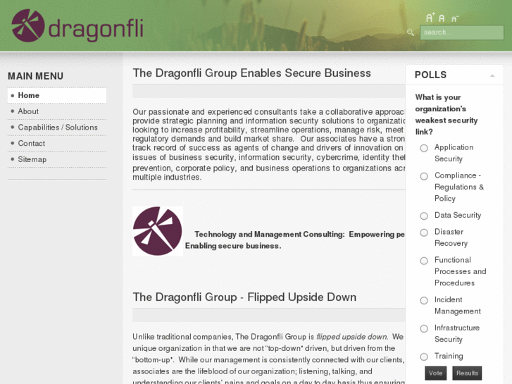 www.dragonfligroup.com