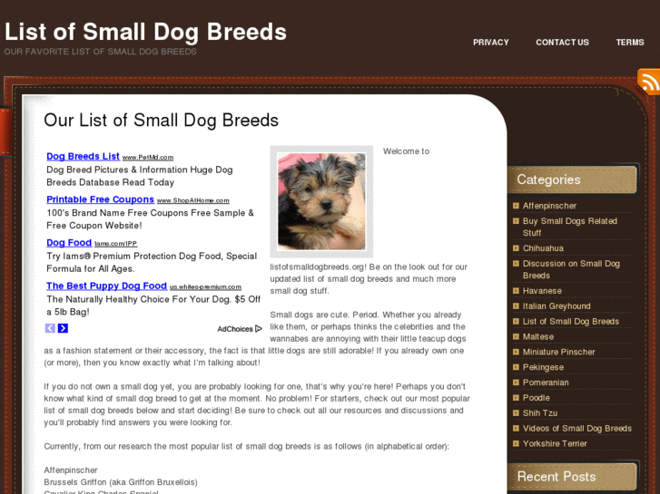 www.listofsmalldogbreeds.org