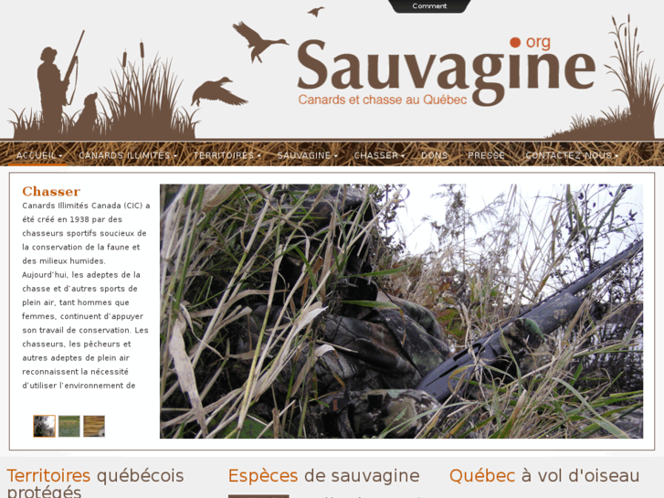 www.sauvagine.org