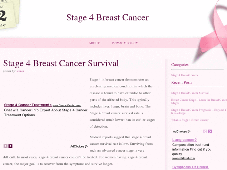 www.stage4breastcancer.net