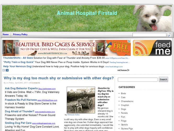 www.animalhospitalfirstaid.com