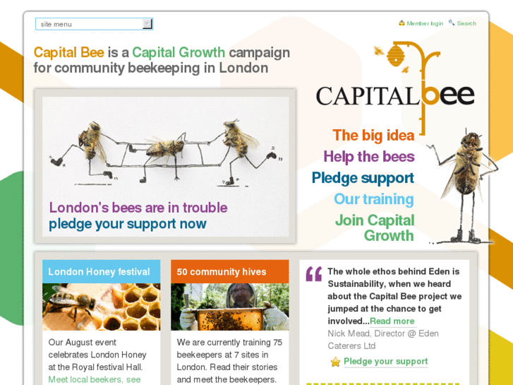 www.capitalbee.org